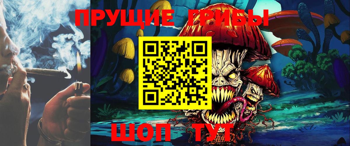Галлюциногенные грибы Psilocybe  Вход с VPN  Соль-Илецк  Псилоцибиновые грибы мицелий 