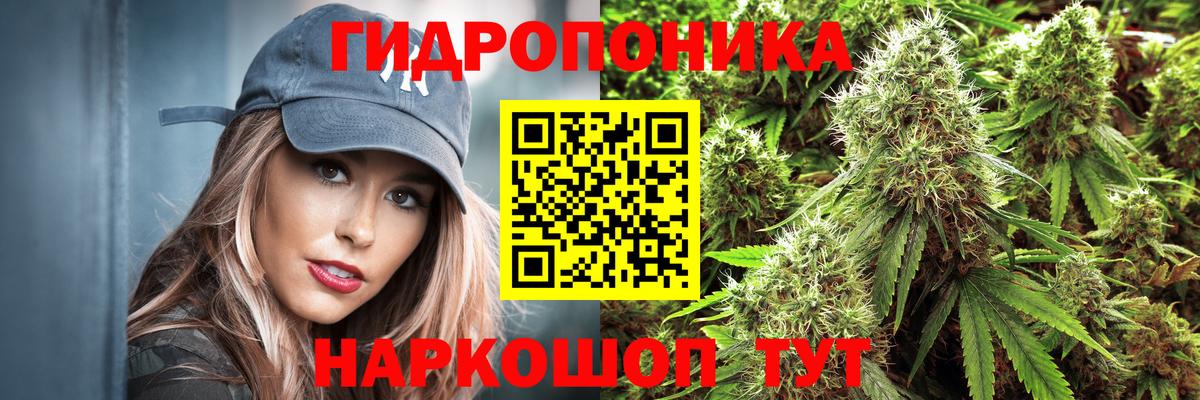 Шишки марихуана SATIVA & INDICA Соль-Илецк